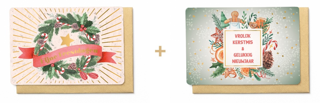 Box met 10 wenskaarten - 2 designs Holly Days 2