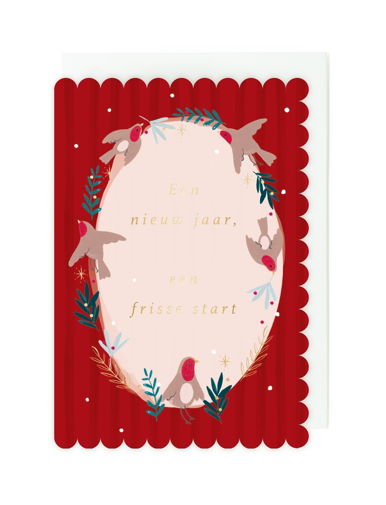 Doosje 8 wenskaarten FF - Een nieuw jaar, een frisse start