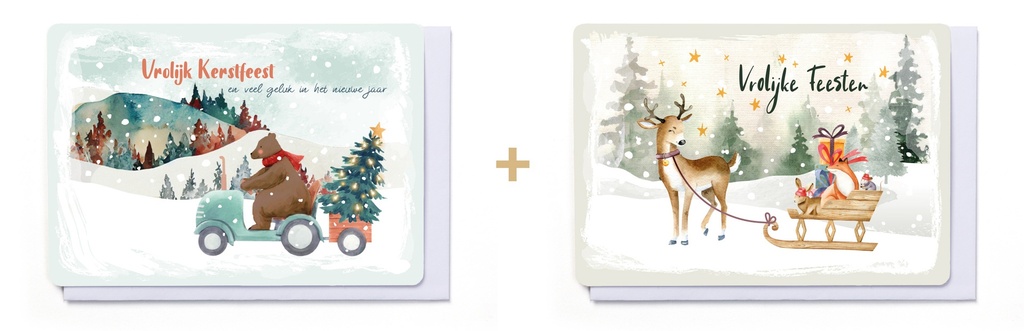 Box 10 wenskaarten - 2 designs Frosty Forest 7329