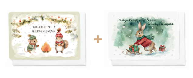 Box 10 wenskaarten - 2 designs Frosty Forest 7474