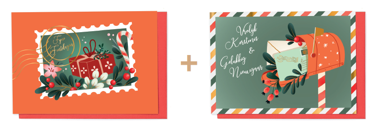 Box 10 wenskaarten - 2 designs Special Delivery 7589