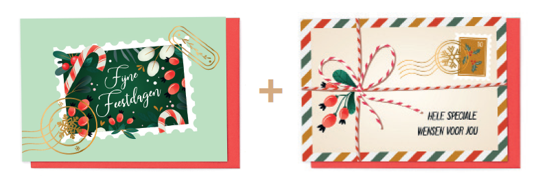 Box 10 wenskaarten - 2 designs Special Delivery 7590