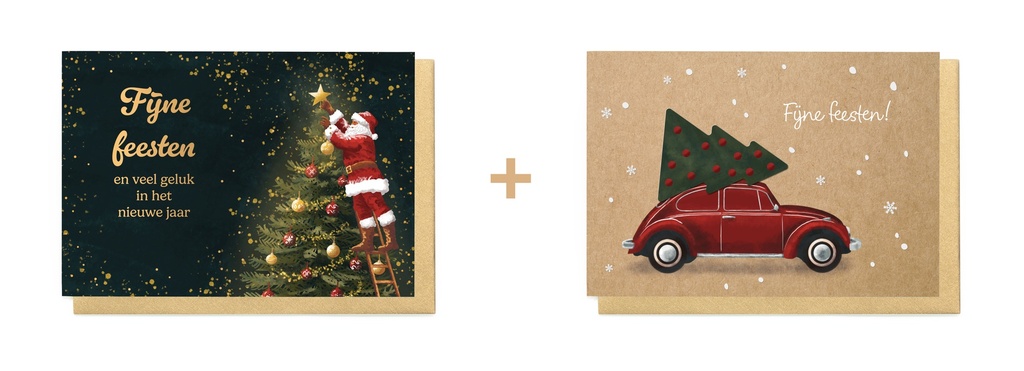 Box 10 wenskaarten - 2 designs Winter Cheer 9802