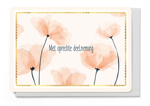 [LM6258] MET OPRECHTE DEELNEMING