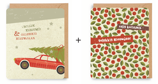 [ETJU1636] Doosje 8 wenskaarten - 2 designs Justainble 1636