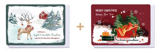 [ETFF7249] Box 10 wenskaarten - 2 designs Frosty Forest 7249